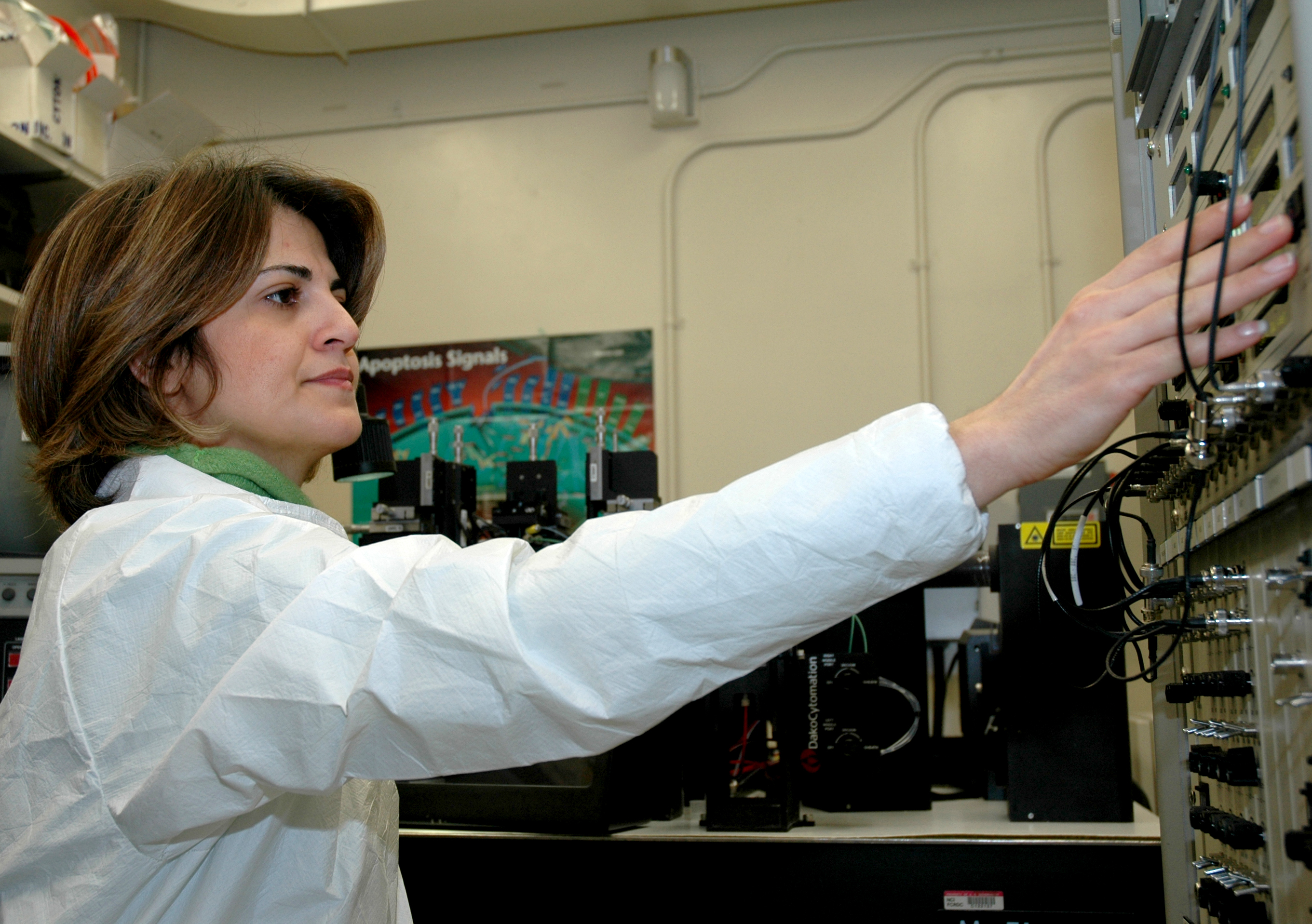Scientist operating a fluorescent antibody cell sorter at a National Cancer Institute laboratory